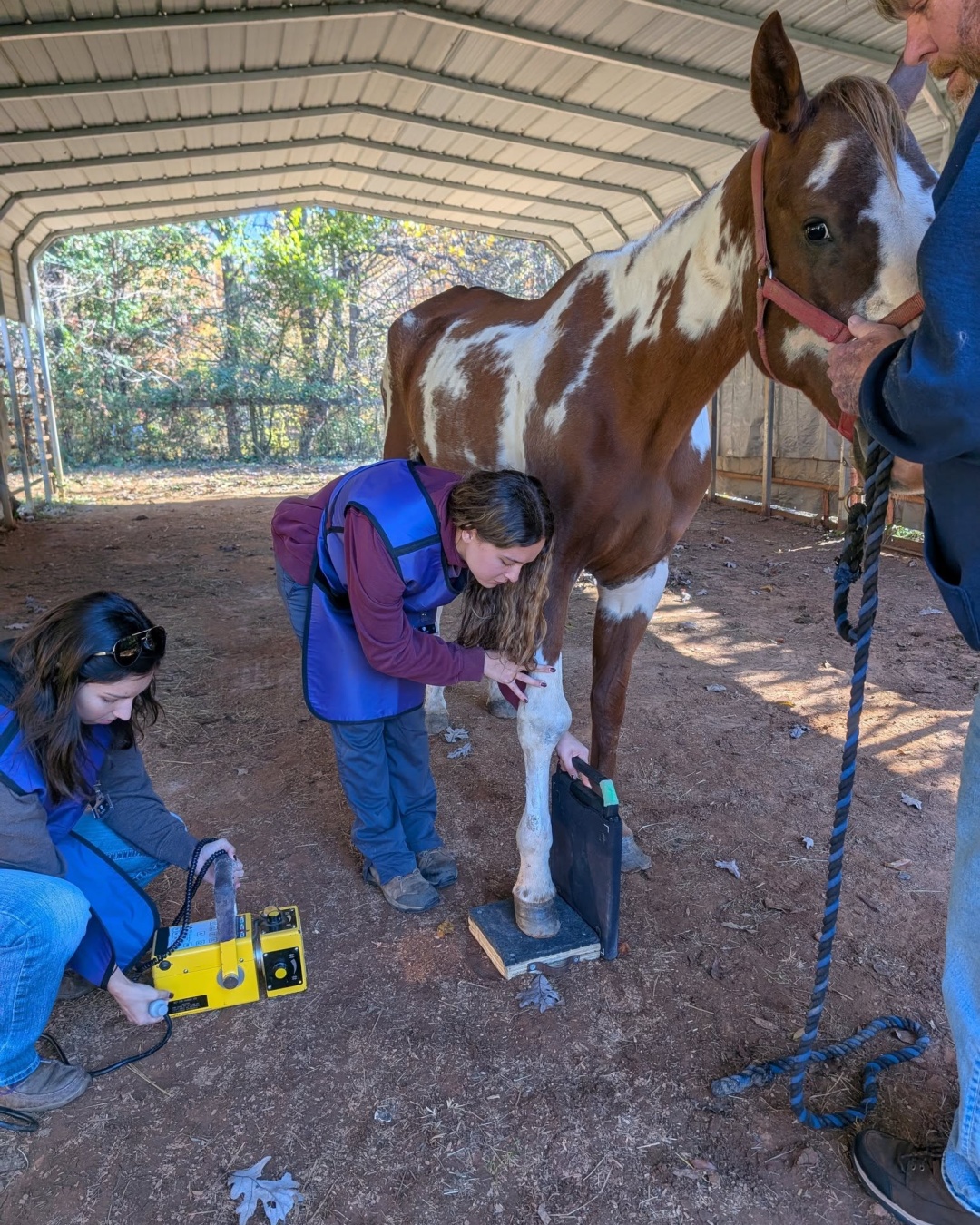 The Unseen Courage of Monroe: A Story of Hope, Care, and Connection.