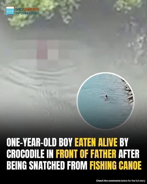 Community Warned To Avoid River After Infant Eaten Alive In Front Of Father