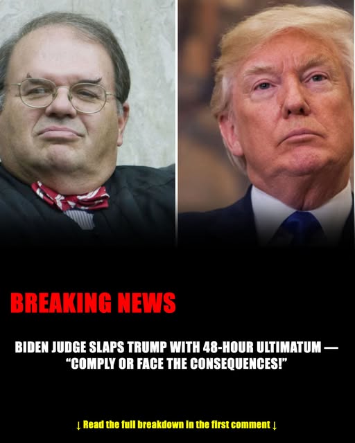 BIDEN JUDGE’S SHOCK RULING FREES 600 DETAINEES