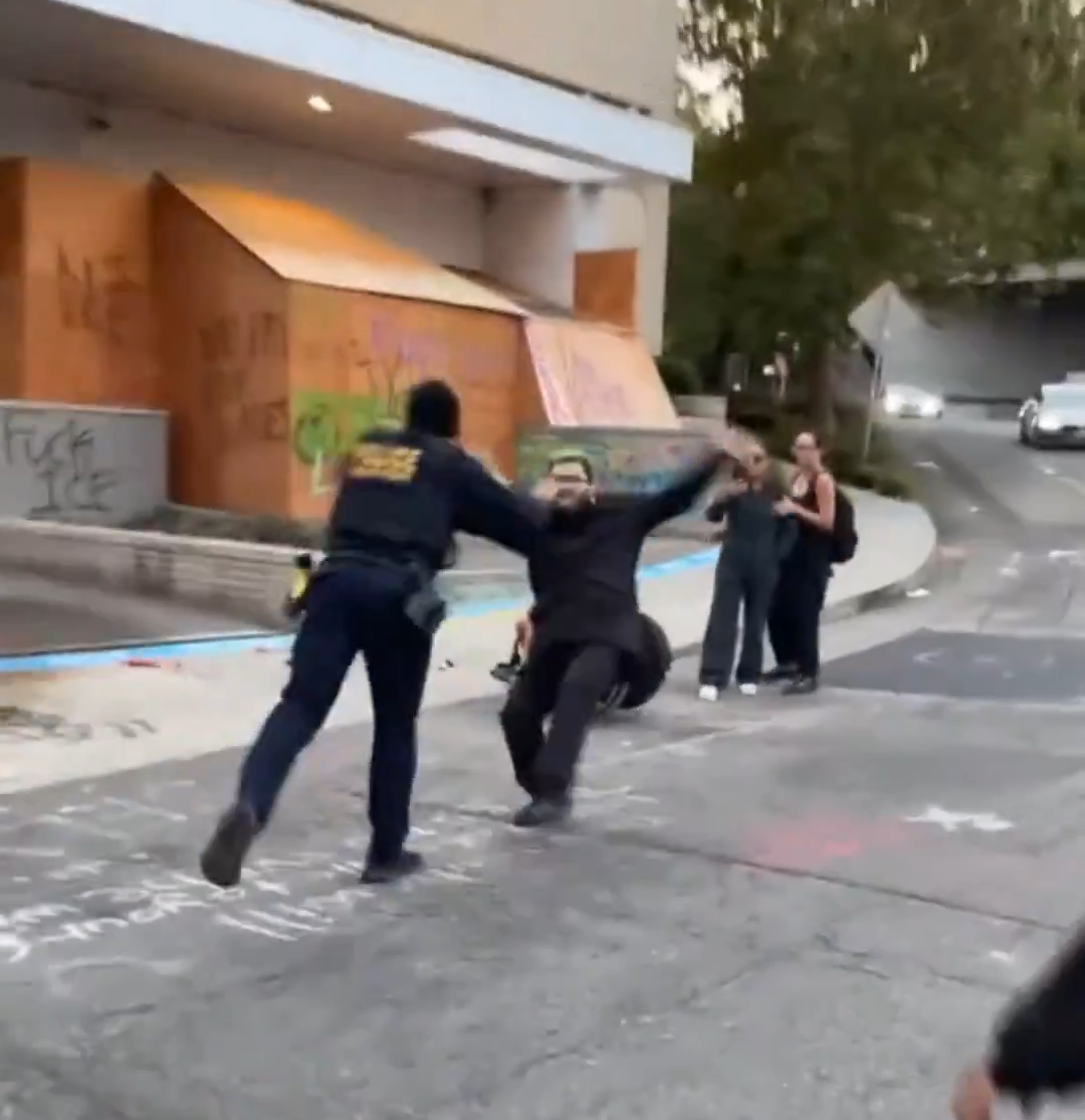 New Video Shows Protester Knocked Down Outside Portland ICE Facility