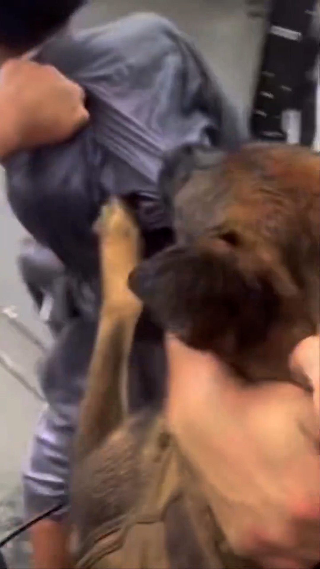 Police K9 Escapes Handler in Busy Street — Man Shocked by What Happens Next