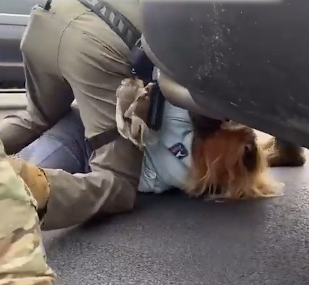 ICE Agents Struggle With Resisting Suspect Before Taking Her to the Ground