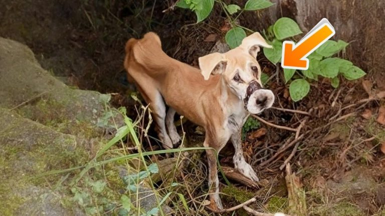 She begged with tears, unable to cry or breathe, after her mouth was sealed with tape