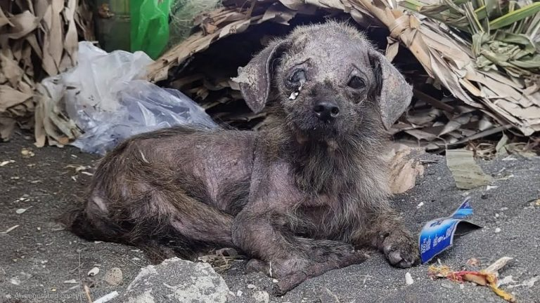 Why do you waste time on me?” She cried and fell asleep after feeling kindness for the first time