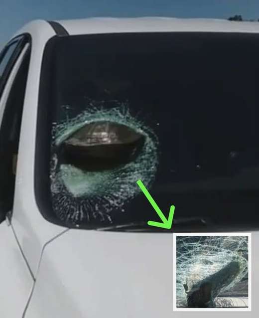 Woman Stunned After Realizing What Crashed Through Her Windshield