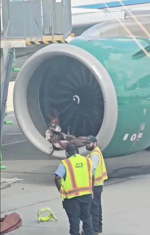HORROR ON THE RUNWAY: Frontier Jet’s Engine Rips Apart in Fiery Blast!