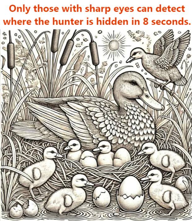 Only those with sharp eyes can detect where the hunter is hidden in 8 seconds.