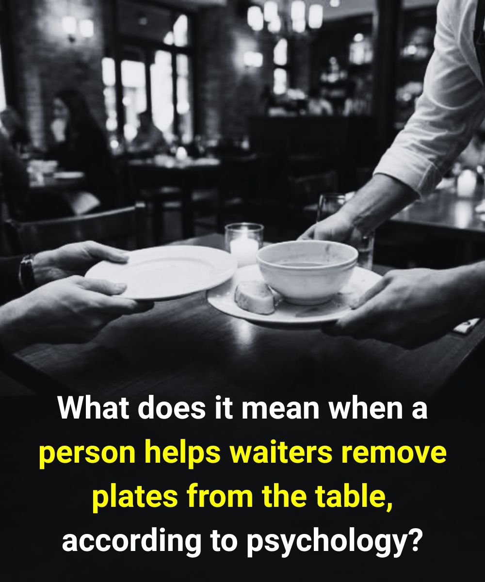 Introvert or Extrovert When Someone Helps Waiters Clear Plates? Psychology Explains