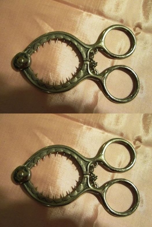 How to use this strange tool in your kitchen