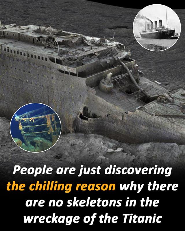 The Chilling Truth Behind the Missing Bodies in the Titanic Wreck
