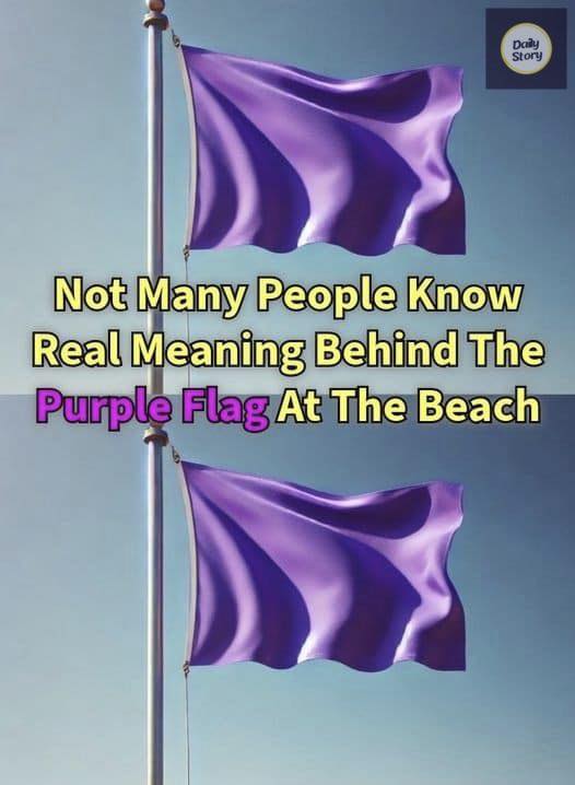 The Meaning of a Purple Flag at the Beach