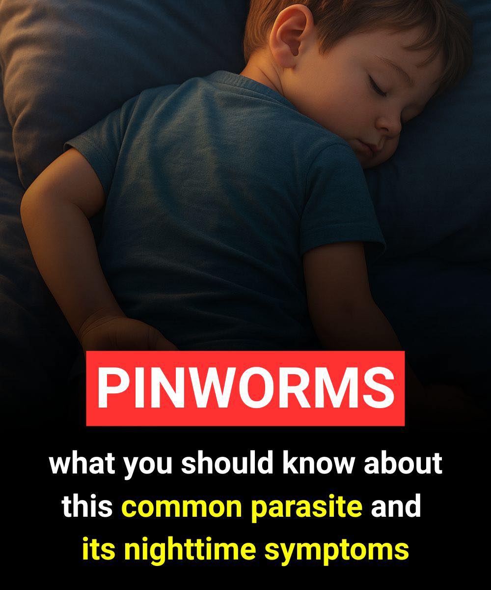 Pinworms in children: what you should know about this common parasite and its nighttime symptoms