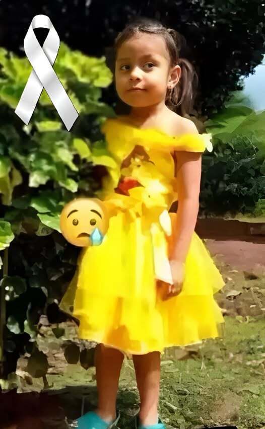 The 5-Year-old girl who was hit by a! See more!