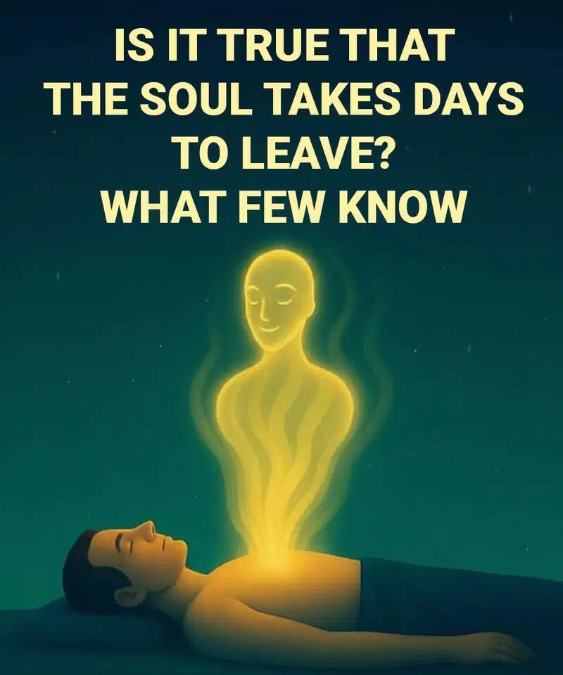 When the Soul Pauses: What Ancient Beliefs and Modern Science Say About the Moments After D-eath