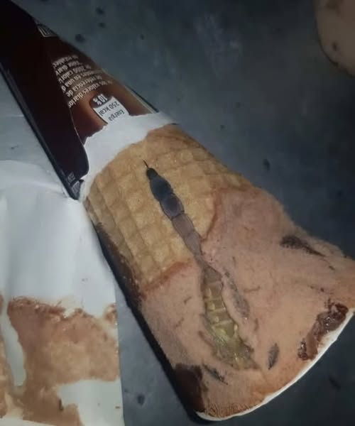 A Strange Discovery Inside an Ice Cream Treat