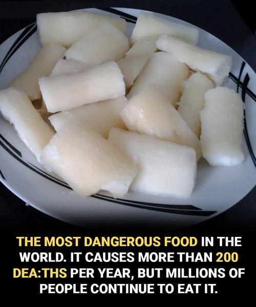 Harmful if made wrong! a hidden risk in a globally popular food