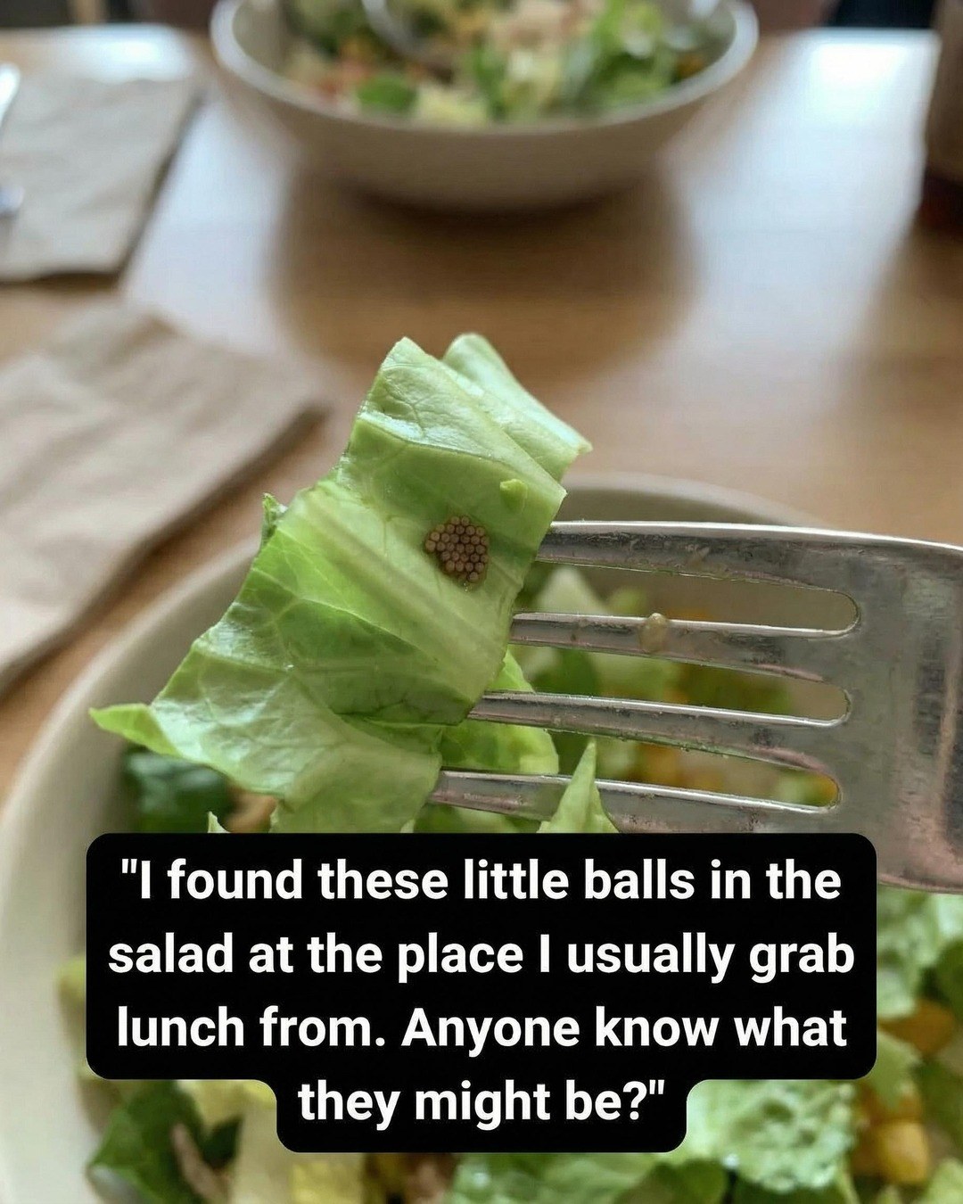 What She Learned After Mistaking an Ingredient for Quinoa!