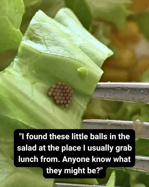 What She Discovered After Mistaking Something for Quinoa