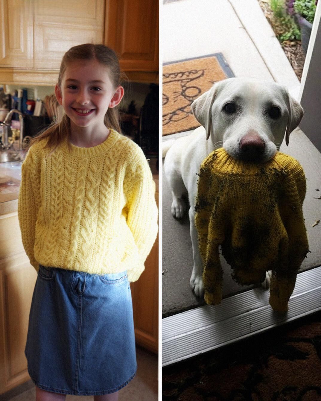 My Dog Brought Me My Late Daughters Sweater the Police Had Taken – Then He Led Me to a Place That Stopped Me Cold!