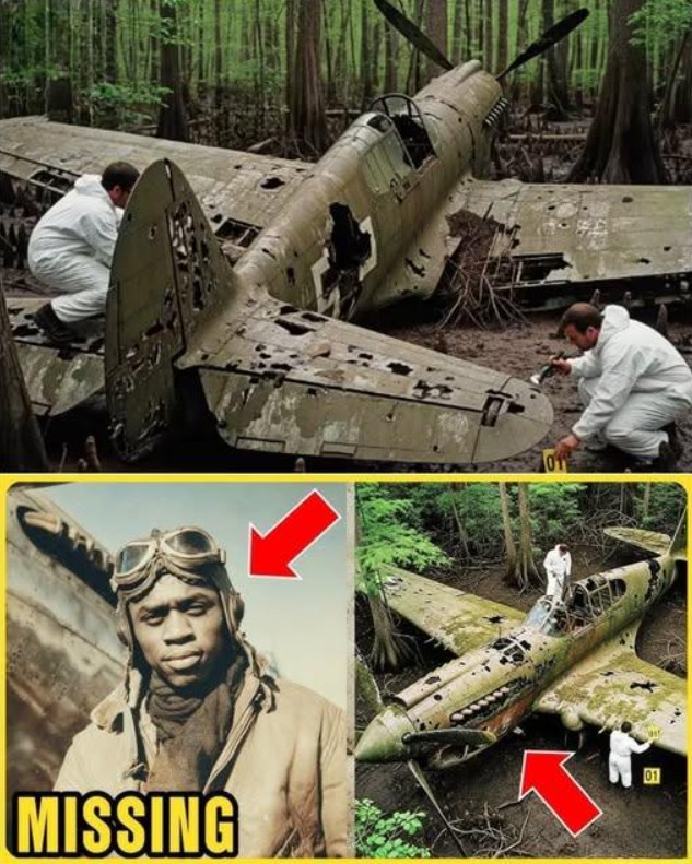 Fighter Pilot Vanished in 1942 — 50 Years Later, His Rusted Plane Was Discovered Deep in the Jungle